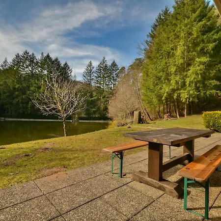 Chalet Du Schlossthal - Etang
