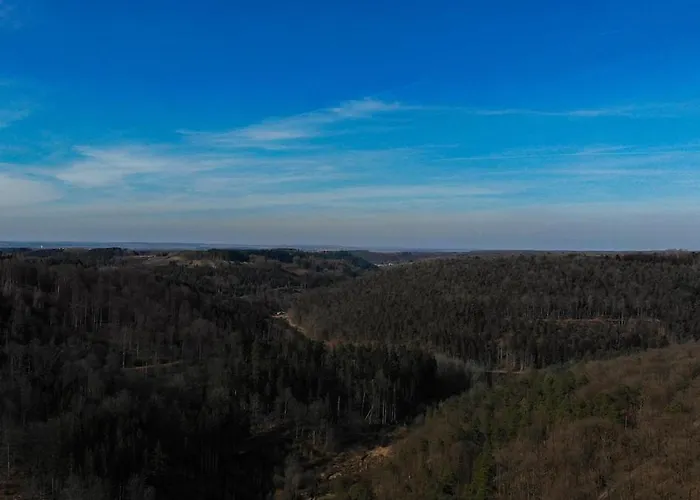 Du Schlossthal - Etang Lemberg